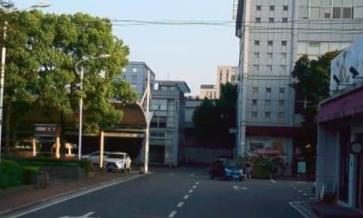 上海莘闵高新技术开发有限公司,上海莘闵高新技术开发有限公司
