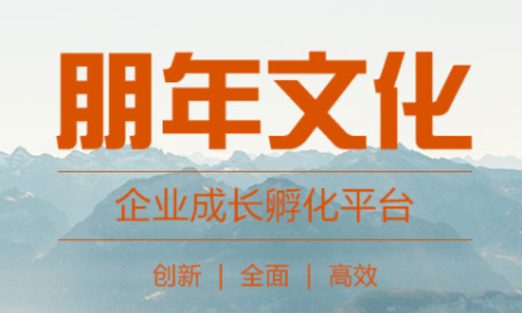 深圳市朋年投资有限公司,深圳市朋年投资有限公司
