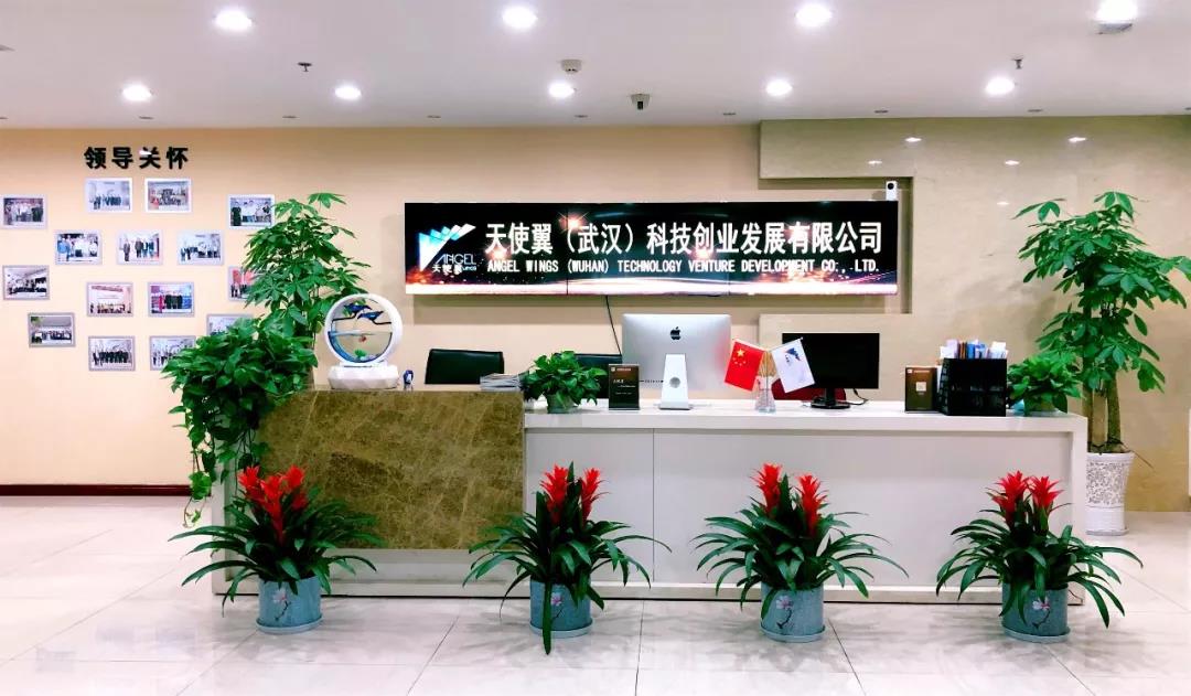 天使翼众创空间,天使翼（武汉）科技创业发展有限公司